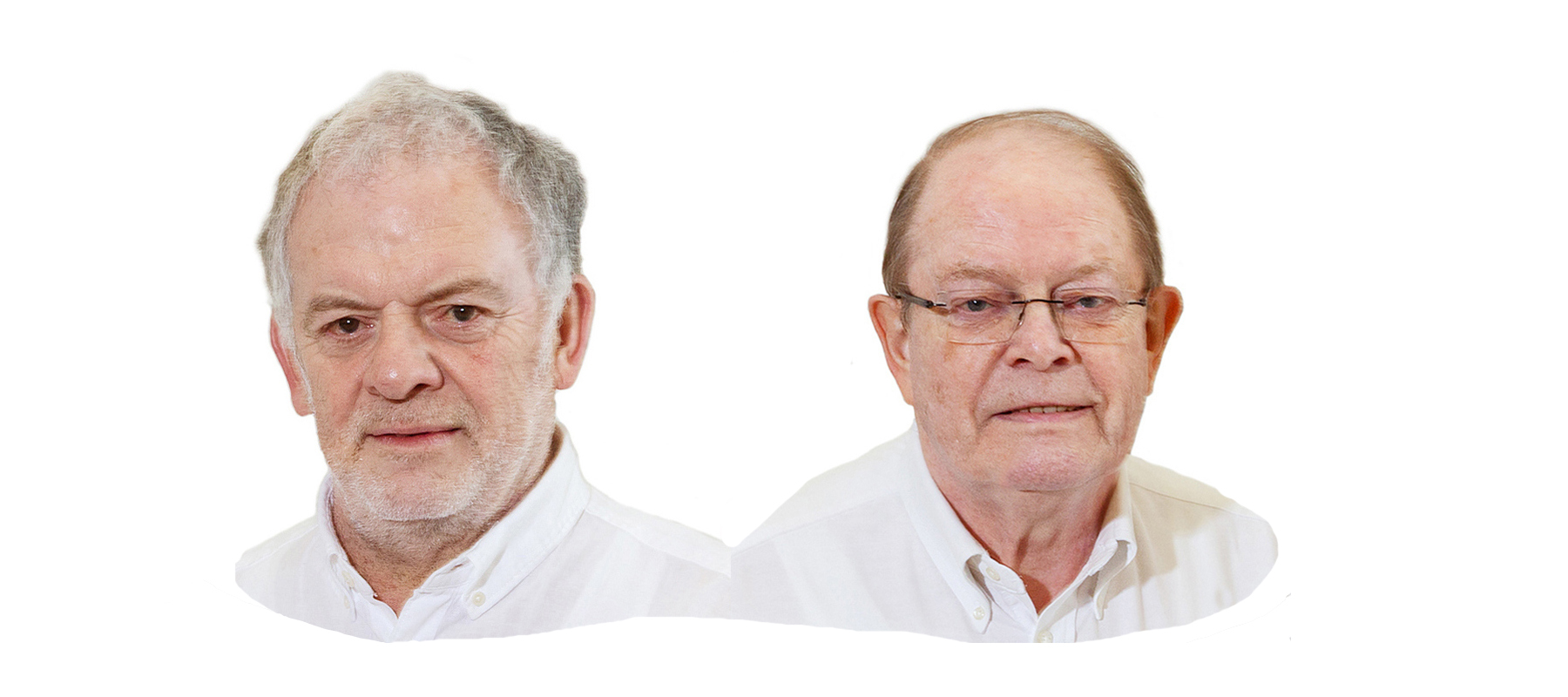 sectie zangers 2024